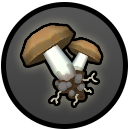 Item dug-up brown mushroom.png