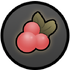 Item salmon berry2.png