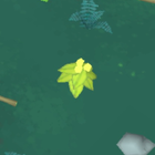 Disp goldberry bush.png