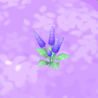 Disp lavender plant.png