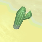 Disp cactus plant.png