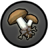 Item dug-up brown mushroom.png